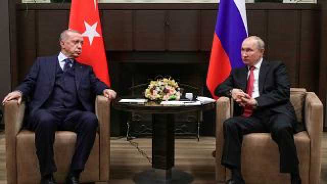 دبلوماسية الحبوب: ما الذي سيكون على المحك عندما يحل أردوغان ضيفا على بوتين في سوتشي؟
