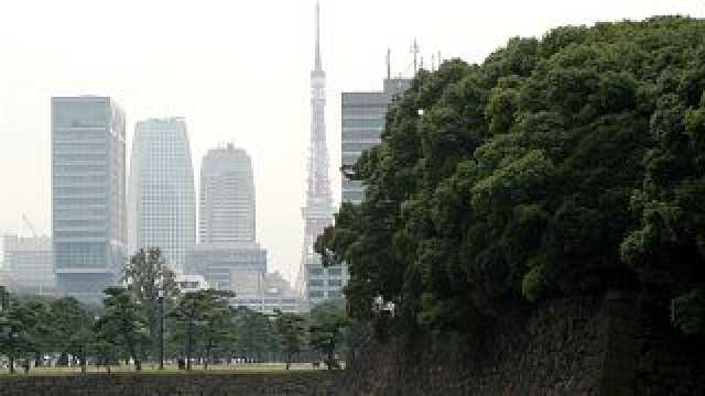 225 ألف ياباني يعترض على مخطط عمراني سيقضي على مساحات خضراء و3 آلاف شجرة في طوكيو