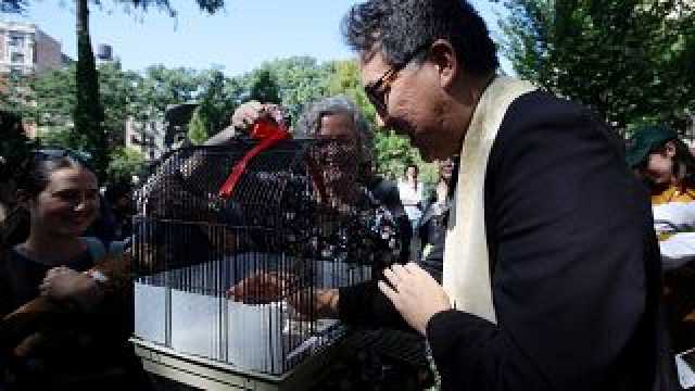 شاهد: مئات الحيوانات الأليفة تنال بركة في قداس بإحدى كنائس نيويورك
