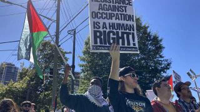 شاهد: مظاهرات مؤيدة للفلسطينيين في الولايات المتحدة