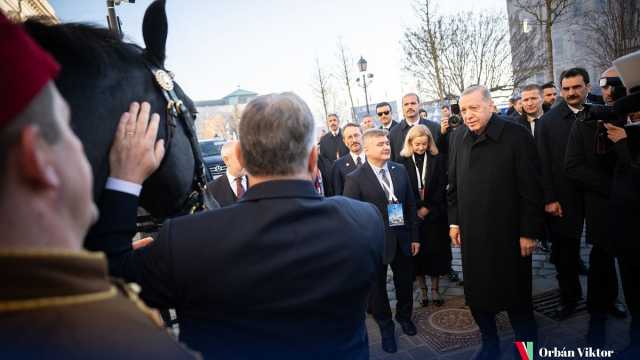 خلال زيارته للمجر.. أردوغان يهدي أوربان سيارة كهربائية صنعت في تركيا ويحصل بالمقابل على حصان مجري