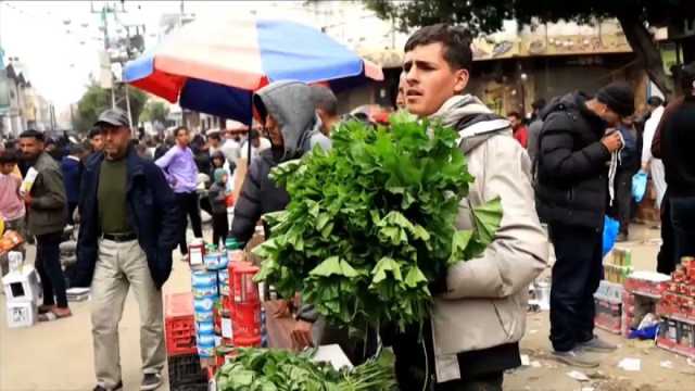 شاهد: شباب عاطلون يلجأون إلى جمع وبيع 'الخُبيزة' بسبب الظروف الصعبة في غزة