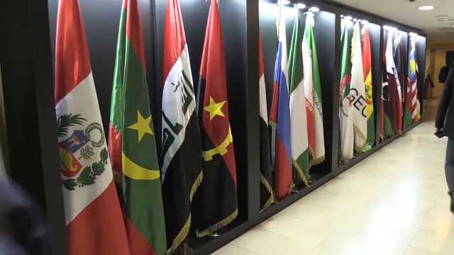 فيديو: الجزائر في دائرة الضوء مع انعقاد قمة زعماء الدول المنتجة للغاز