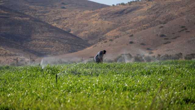 إسرائيل تستولي على 8 آلاف دونما من الأراضي في غور الأردن